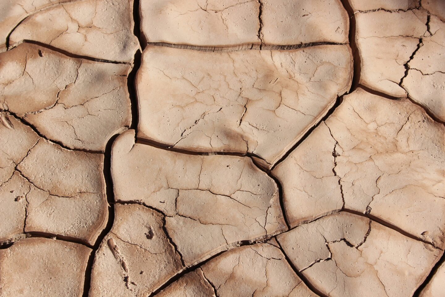 dry desert surface