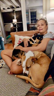 I Am Not a Dog Mom